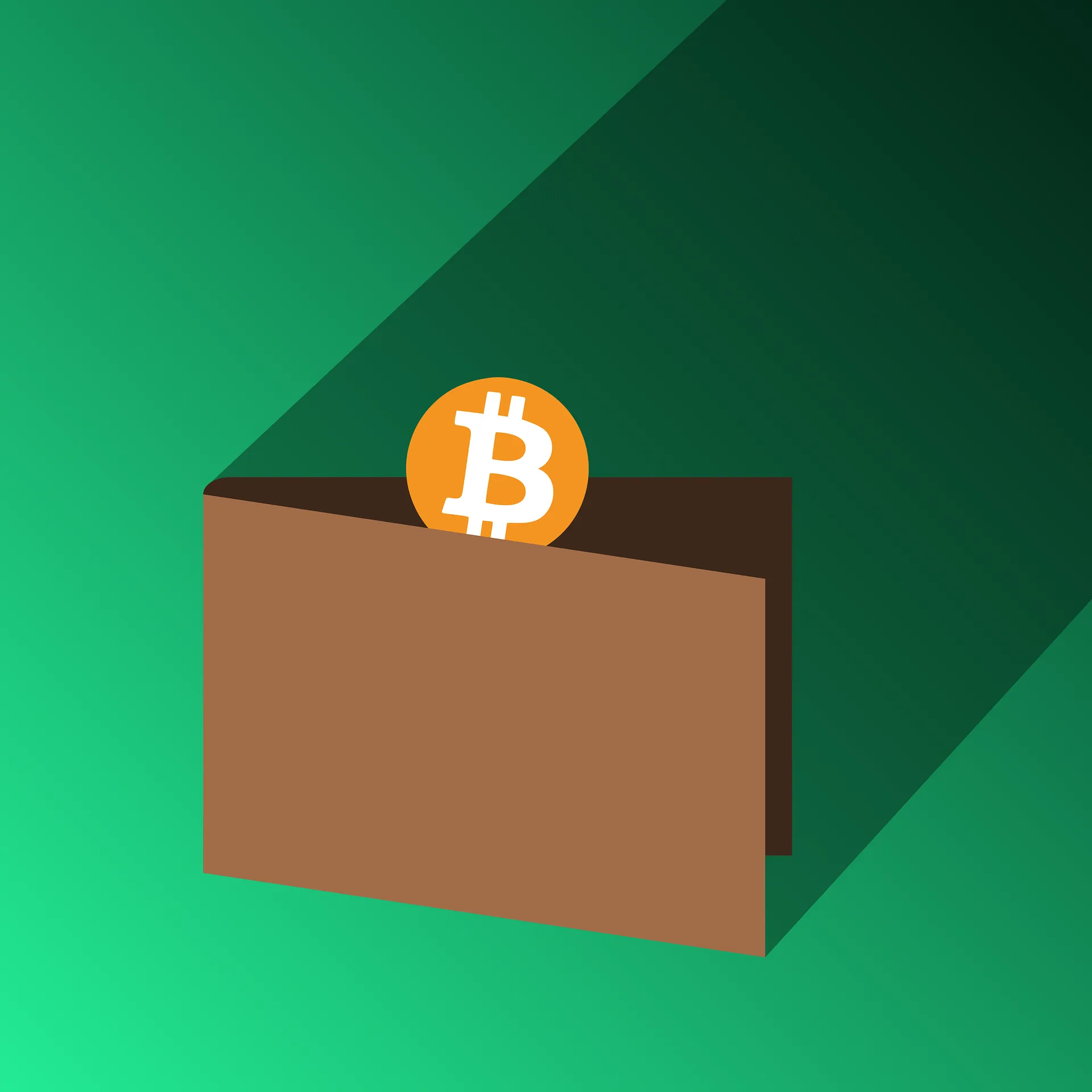 Ilustrim i një portofoli me monedhë Bitcoin
